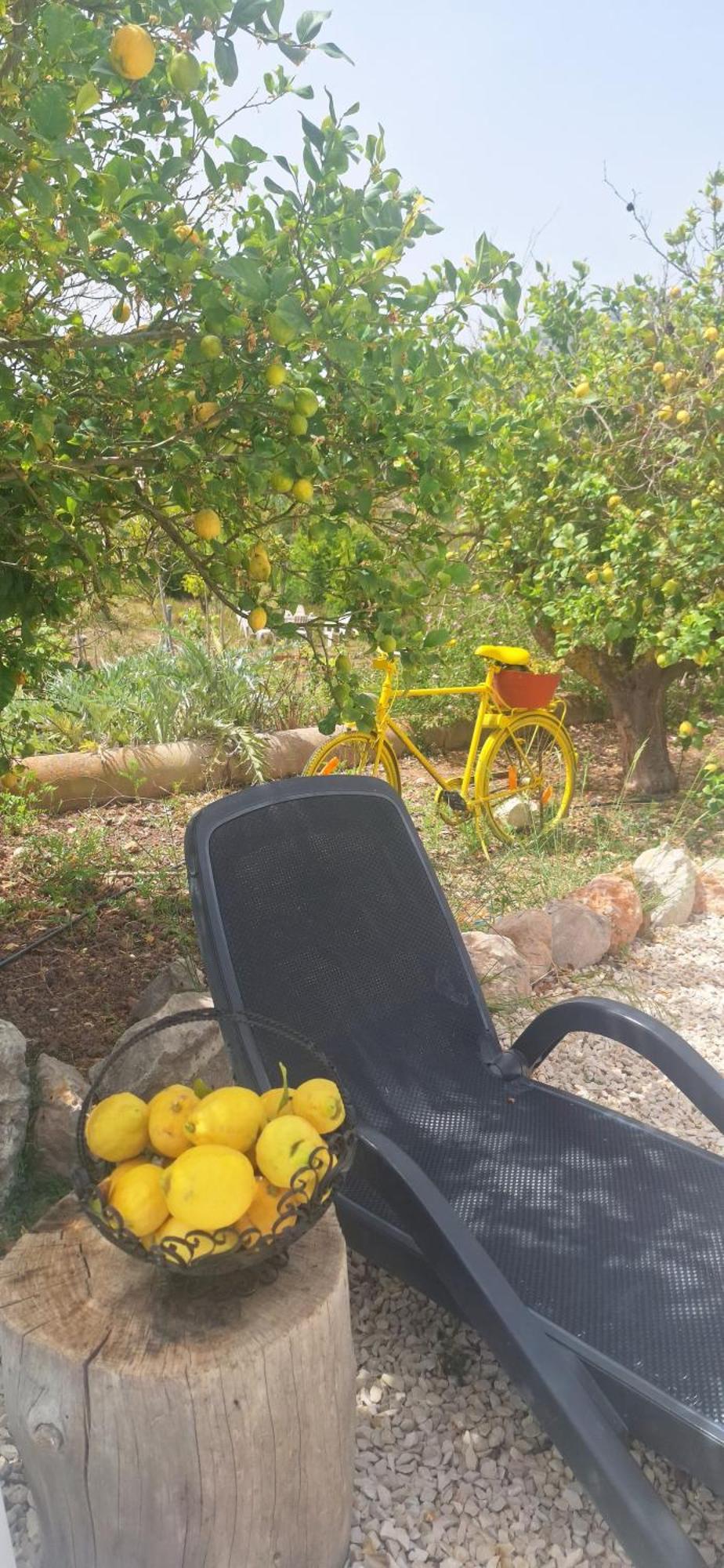 אלתיאה Finca Barahona Casa Barahona Casa Bahoruco, Casa Bohechio חדר תמונה