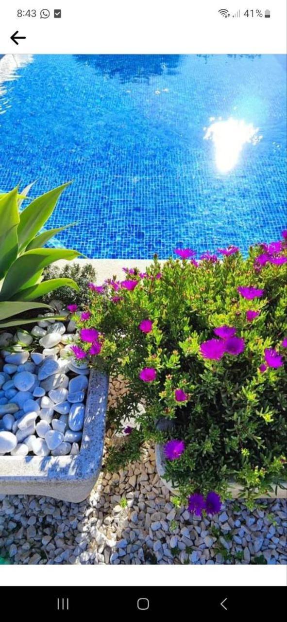 אלתיאה Finca Barahona Casa Barahona Casa Bahoruco, Casa Bohechio חדר תמונה